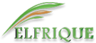 Elfrique